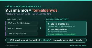 Infographic nguồn formaldehyde nhà mới và cách khử VOC